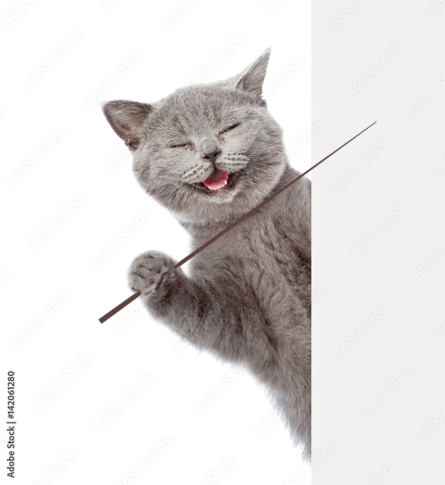 Poster Smiling cat holding a pointing stick and points on empty banner. isolated on white background