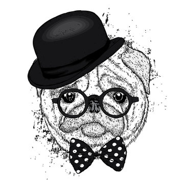 Lovely pug hat and with a tie. Funny dog. Puppy. Vector illustration for a postcard or a poster. Print on clothes.