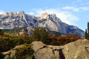Nature