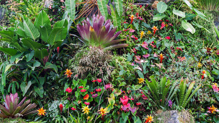 mix flowers and houseplants decorated as background