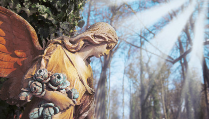 Fototapeta na wymiar wonderful angel in the rays of the sun (architecture, statue, archetype, religion, faith)