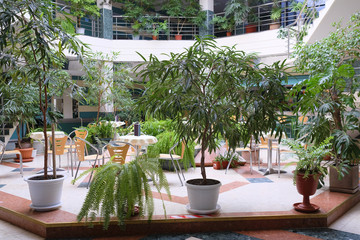 Interior of a cafe in a hotel