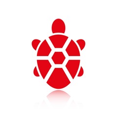 Obraz premium turtle icon stock vector illustration flat design