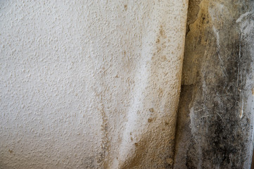 Schimmel an Wand