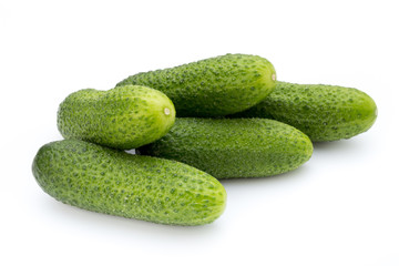 The first spring ecologically cucumbers.