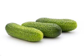 The first spring ecologically cucumbers.