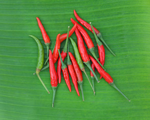 Red fresh chillies on banana leaves on white background
