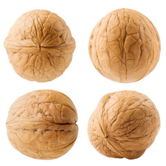 Walnut closeup on white background, isolated