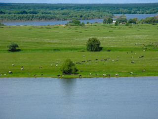 Spring sun magic river bright field beautiful sunny blue sky