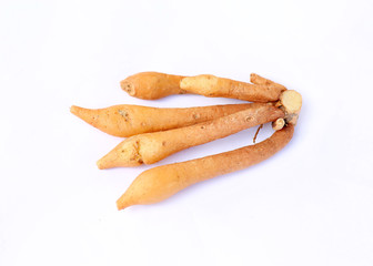 Finger root thai herb on white background