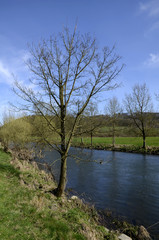 Fototapeta na wymiar Idyllische Flusslandschaft im Frühling