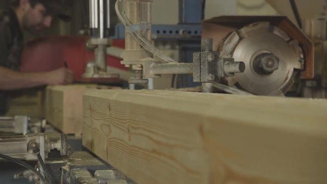 The production line for wood. Woodworking industry: machinery and equipment for cutting and grinding lamellae. Production of laminated veneer lumber.LVL Laminated Veneer Lumbe.