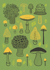 Mushrooms illustration with leaves
