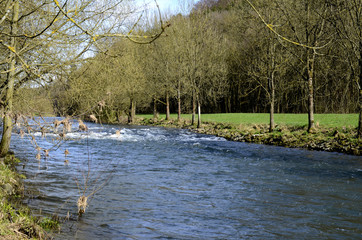 Idyllische Flusslandschaft im Frühling