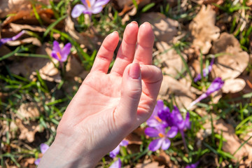 Close up of young girl doing yoga (lotus pose)