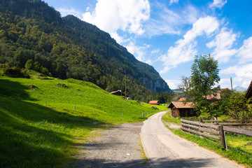 landscapes swiss (스위스 자연풍경)