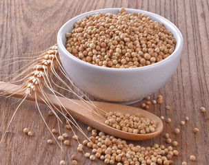 corinder seeds in wood spoon on table