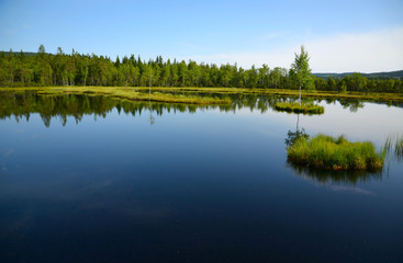 The view of the lake with islands between forests under blue sky in Sumava in Czech Republic