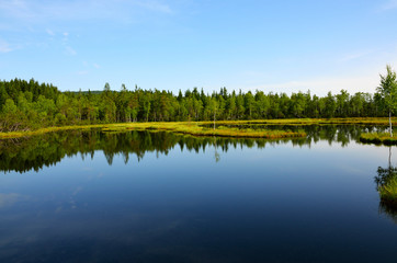 The view of the lake with islands between forests under blue sky in Sumava in Czech Republic