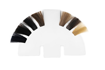 Palette of hair colors samples on white background