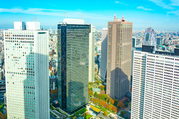 都庁からの展望