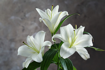 Fototapeta na wymiar Beautiful white lilies on blurred background