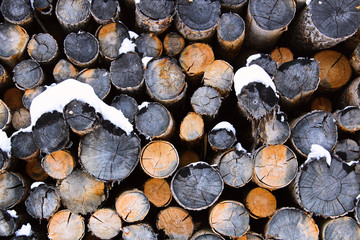 Abstract pile of logs during winter