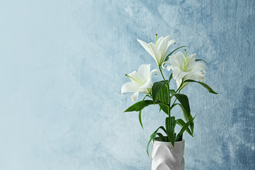 Beautiful white lilies on light background - 142075495