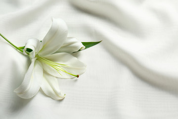 Beautiful white lily on fabric background