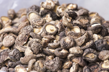 Dried mushroom at farmer market