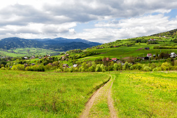 Springtime landscape in the mountain