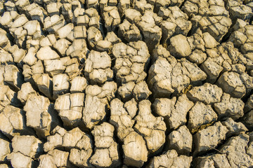 Cracks texture. Large Black and White Background
