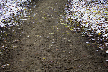 Obraz na płótnie Canvas Winter park path