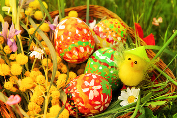 Hand painted colorful Easter eggs, cute little easter chicken, bright yellow mimosa branch and wildflowers in the wicker homemade basket with green meadow in the background.