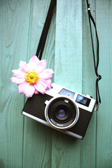 Film Camera and Flower