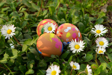 Obraz na płótnie Canvas High angle view of Easter colored eggs with flowers. Daisies