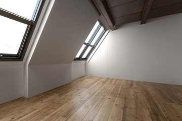 Beautiful large unfurnished attic apartment