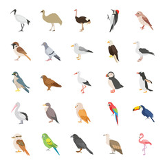 Fototapeta premium Birds color vector icons