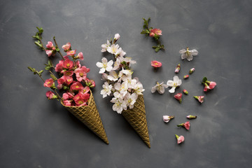 Flowers in ice cream cone on cement background