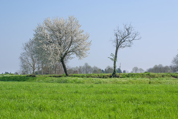 paesaggio di campagna