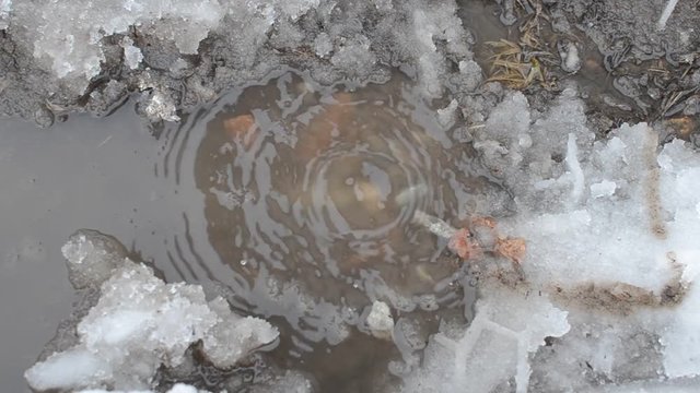 Drops of water dripping from the roof gutter, drip in a spring puddle