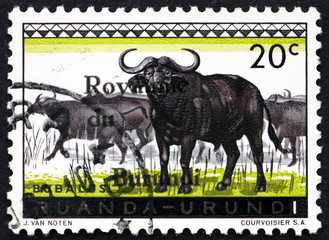 Postage stamp Burundi 1962 African Buffalo, Syncerus Caffer