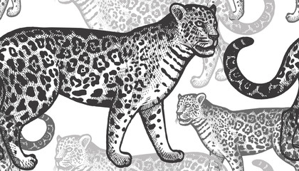 Seamless pattern with jaguars. © marinavorona
