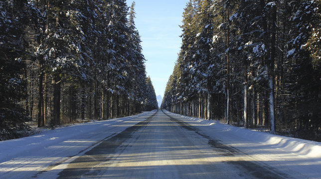 Fototapeta Road to Rocky Mountains, National Park Banff, Canada