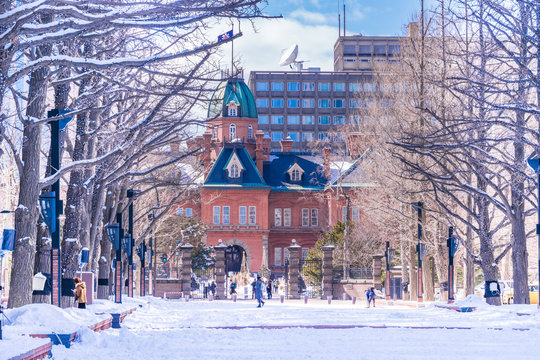 北海道庁旧本庁舎冬の赤れんが庁舎/1888年竣工北海道庁旧本庁舎