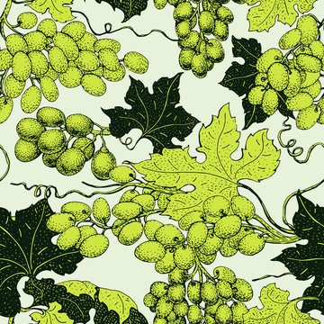 vector seamless pattern with grape. Can be use for background, design, invitation, banner, packaging. Retro hand drawn illustration