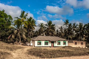 A small house surrounded by palm trees. Africa.