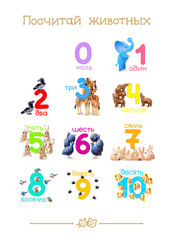 
Series of "Count the Animals" 0-10 (all numbers in one poster). Addition to series of Russian ABC "Amusing Animals".
