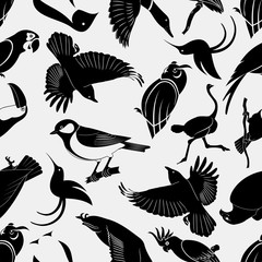 Birds seamless pattern. Repeating Penguin, Humming Bird, Owl, Eagle, Toucan, Ostrich, Raven, Great Tit, Cockatoo, Duck  and Parrot