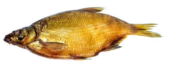 Smoked bream fish on white background